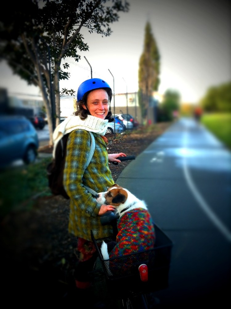 how much is that doggy