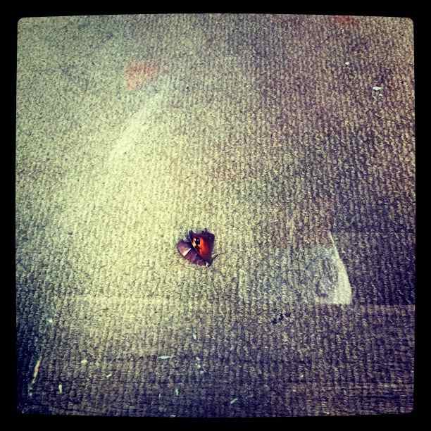 the littlest things seem loveliest round you